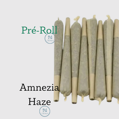 Joint Pré-roll CBD Amnesia Haze