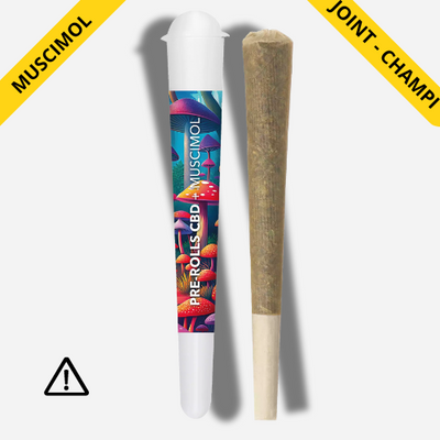 Joint pré-roll Muscimol Mushroom | Trippy Treats