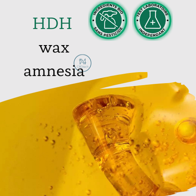 Seringue wax Hdh - AMNESIA