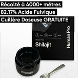 Shilajit Résine Himalaya : Booster Naturel | Test Labo 