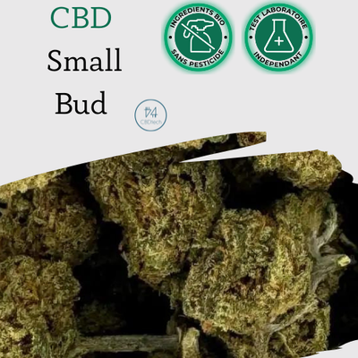 Small Bud Berries Fleur CBD Premium