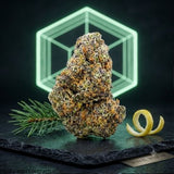 White Widow THCX - Fleurs