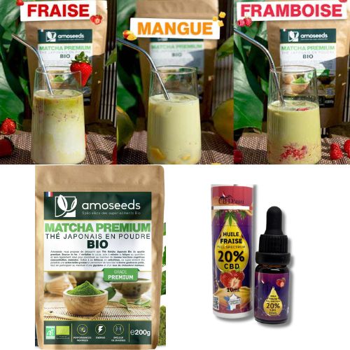 Pack Thé Matcha Premium Japonais + Huile CBD Bio