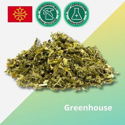 Fleurs CBD Sour Diesel Occitanie | Greenhouse