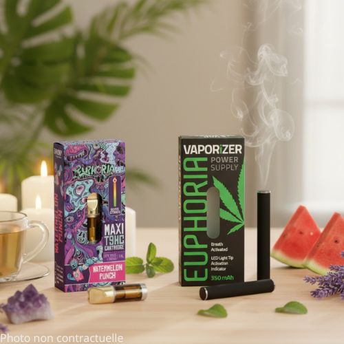 t9hc vapes Euphoria T9HC Disposable Vape Pen African Mango, 2 ml
