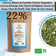 POPZEN™ Medicinal CBD Infusion 🍀 Well-being