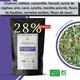 Night™ Infusion CBD 10% Médicinal 🌿